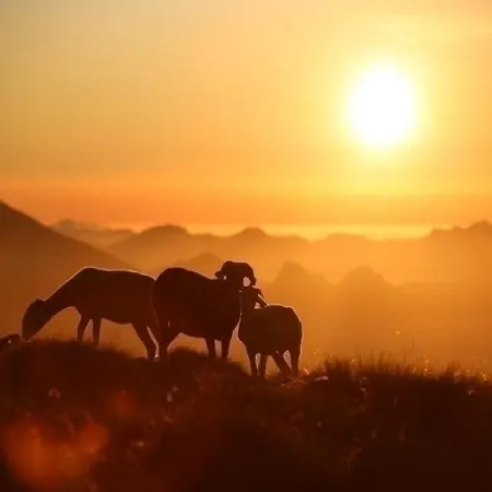 T2 A Avec Terrasse, Local A Ski, Et Proche Telecabine - Fr-1-401-1 Apartman *