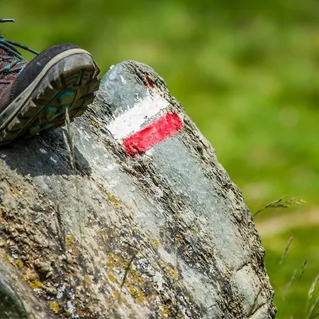 T2 A Avec Terrasse, Local A Ski, Et Proche Telecabine - Fr-1-401-1 * Cauterets