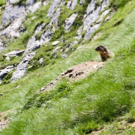 T2 A Avec Terrasse, Local A Ski, Et Proche Telecabine - Fr-1-401-1 Apartament *